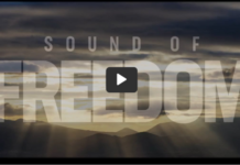 Greg Reese: Pedophile Child Sex Slavery and the Sound of Freedom!