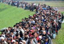Too Little Too Late? Europe Finally Realizes Mass Immigration Is Destroying Them