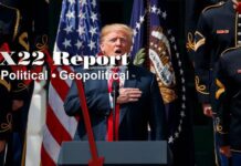 Voters Are Worried About Election Cheating In 2024,People Will Accept What Needs To Be Done – X22 Report