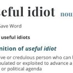 useful idiot