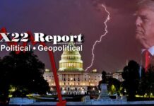 Election Evidence Will Be Introduced During The Corrupt Trial,2020 Will Never Happen Again – X22 Report