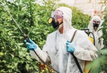 Bayer Ordered to Pay $1.56 Billion in Latest Trial for Claims that Roundup Caused Cancer