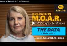 M.O.A.R (Mother Of All Revelations) The crucial data On New Zealand’s excess deaths from the Covid jabs (Edited Version)