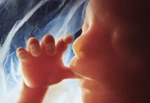 Study: At Least 30,000 Additional Babies Born After Supreme Court Overturns Roe v. Wade