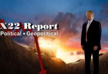 Trump Will Offer Classified Info Relating To The Elections, MI, Pandora’s Box Opened – X22 Report