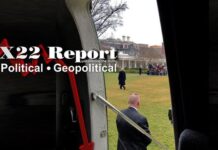 2024 Will Go Down As The Year Of Election Interference, In The End The Patriots Win X22 Report 717K followers Follow 6.75K 87