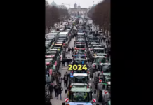 German farmers, truckers plan their own Freedom Convoy