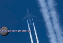 The Dimming, Full Length Climate Engineering Documentary ( Geoengineering Watch )