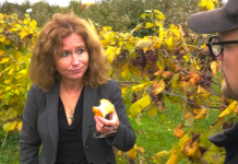 Patricia Conlin tells why she is running as a PPC candidate…