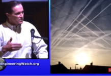 Engineering Deluge, with Dane Wigington