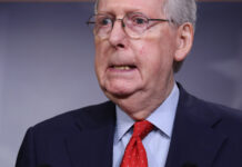 Mitch McConnell talks about voter fraud and how elections are stolen at all levels of government