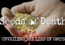 Seeds of Death – Unveiling The Lies of GMOs – Full Movie