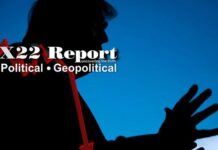 The Precipice, Emotions Cloud Judgment, Remain Calm, We Are Here For A Reason – X22 Report