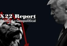 Trump: ”Move Slowly, Carefully — And Then Strike Like The Fastest Animal On The Planet!” – X22 Report