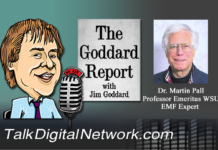 Dr. Martin Pall: Are We Living In An Open Air Microwave Oven?