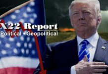 We Were Told From The Beginning What Was Going To Happen, My Fellow American – X22 Report