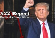 Shot Heard Around The World, Precedent Has Been Set, Victory Nov 5 – X22 Report