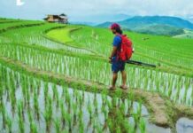 UN Announces Plan to Ban Most Farming and Meat, Triggering Shortages and Starvation