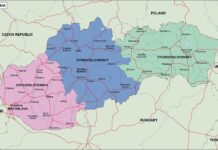 Chart of the Day (CotD) Slovakia Covid and Excess Deaths, by Eldric Vero