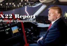 When The Riots Begin, The Real Threat To Democracy Will Be Exposed, ILS Approach Looks Good – X22 Report