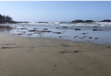 Vancouver Island Missing People Cluster