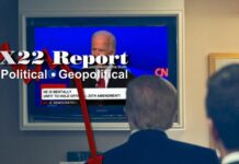 Tyrannical Gov Has Just Been Exposed, 25th Amendment Just Came Into Focus, Panic Everywhere – X22 Report