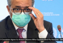 John O’Looney: 194 WHO Countries Agree to Arrest Citizens Who Oppose Bird Flu Vaccine