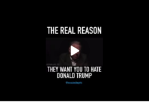 The REAL Reason They Want You To Hate Donald Trump!