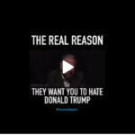 realreasonimages (1234567)