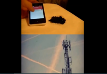 Think 5G EMF Radiation is safe for humans?