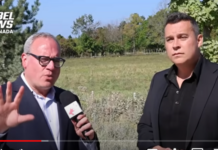 Did you hear what Justin Trudeau is doing to the Amish farmers?