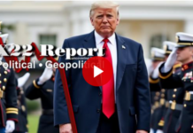 Trump Requests Military Protection, Military Is The Only Way, Trump Controls The Top – X22 Report
