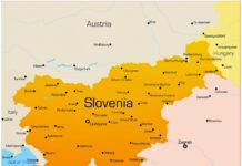 Chart of the Day (CotD) Slovenia Covid and Excess Deaths, by Eldric Vero