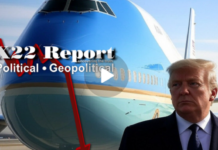 Trump Is Going To Remove The “Fourth Branch” Of The Government,POTUS Will Be Safe On AF1 – X22 Report