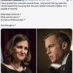 FreelandCarney Image