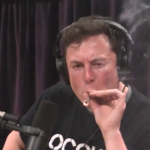 elontokemuskImage (1234567)