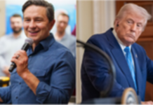 Trump says Poilievre ‘not a Trump guy at all,’ brands Freeland ‘terrible’ US President Donald Trump has branded Chrystia Freeland