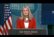 Press Sec Leavitt Goes Off on liberal media over Dan Bongino appointment