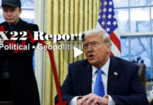 Phase I, Waste & Fraud, Trump Moves To Next Phase, Criminal Activity, Taking Control – X22 Report