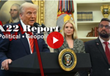 NY FBI Office Holding Back Additional Epstein Docs, Kash and Pam Are On It Phase 11 – X22 Report