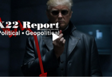Take The Red Pill,You Stay In Wonderland,Trump Will Show You How Deep The Rabbit Hole Goes