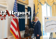 Criminal Syndicate Is A “State Within A State”, What Did The Framers Fear The Most? – X22 Report