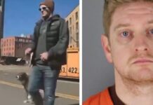 OUTRAGEOUS: Soros-Backed County Attorney Says Member of Tim Walz Administration Won’t Face Criminal Charges For Vandalizing at Least 6 Teslas – Police Blast Decision!