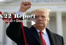 D Party Is The Party Of Violence, Rogue Judges Never Had Power, Winning, Next Phase – X22 Report