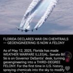 FloridabanschemtrailsFelony