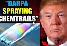 Trump’s Chemtrails Task Force Exposes DARPA Plot to Murder 170 Million Americans