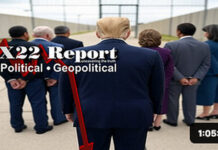 Obama Took The Bait,Trump Is Preparing The People To Accept Arrests,Think Logically,Pain