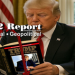 Screenshot 2025-07-08 at 20-40-52 X22 Report