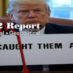 Screenshot 2025-07-18 at 23-28-23 X22 Report