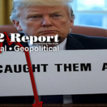 Screenshot 2025-07-18 at 23-28-23 X22 Report